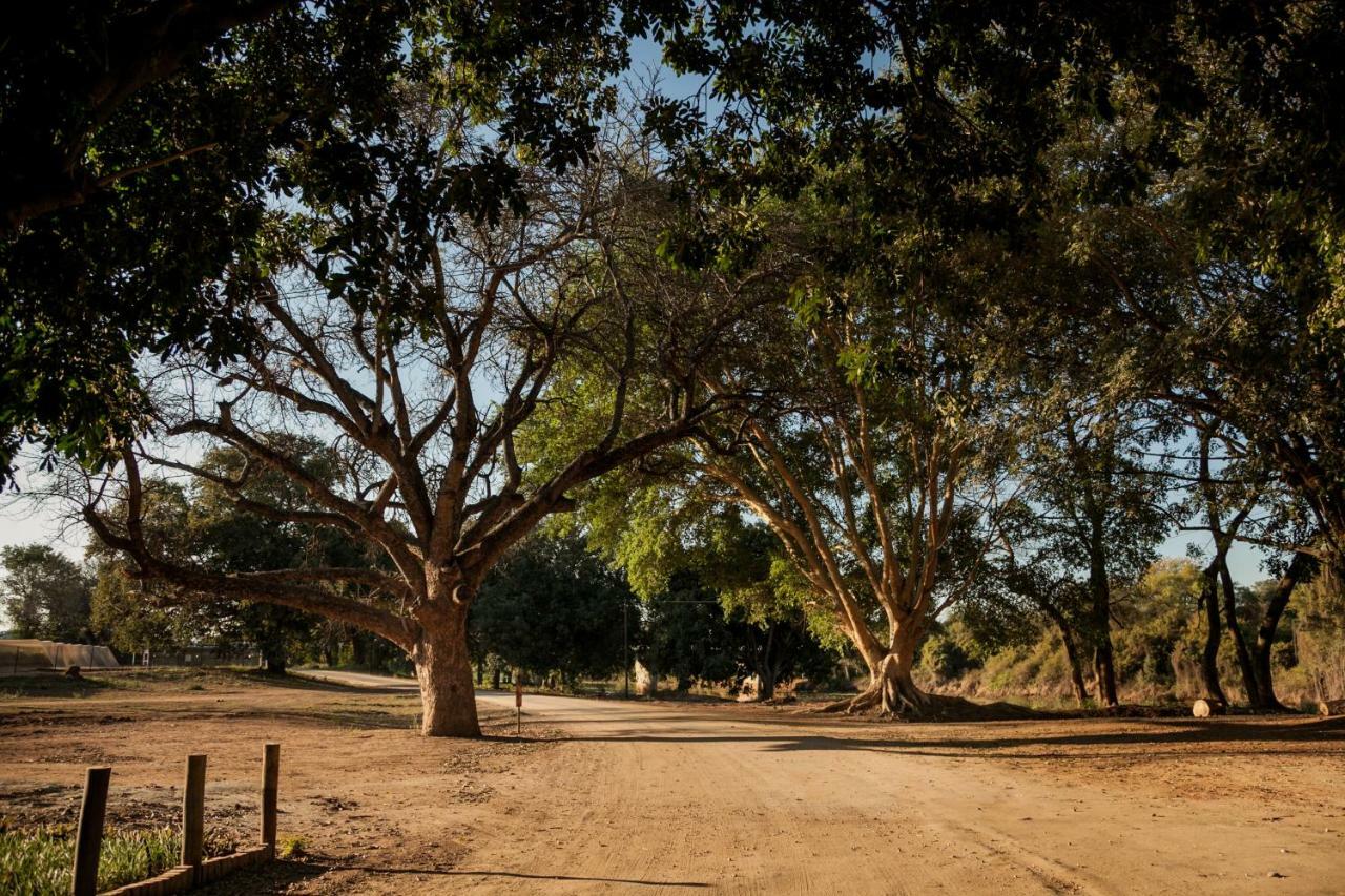 Letaba Junction Lodge Letsitele Exterior foto